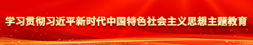 美女鸡巴真好操学习贯彻习近平新时代中国特色社会主义思想主题教育